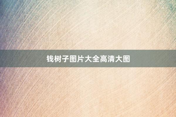 钱树子图片大全高清大图