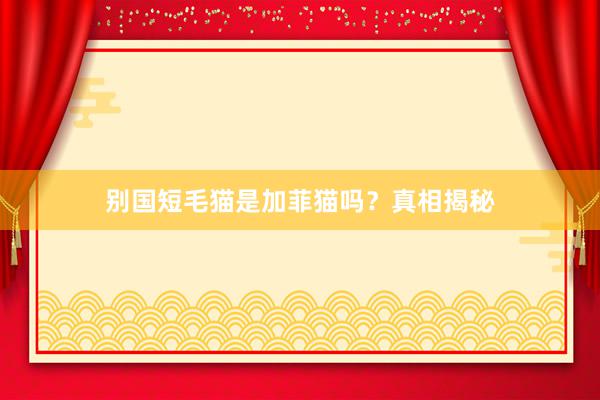 别国短毛猫是加菲猫吗?真相揭秘